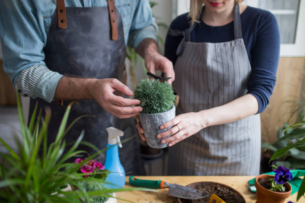 Gardeners working in a greenhouse