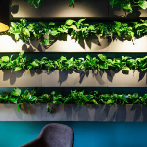 Natural interior in modern cafe with green plants zone for visitors