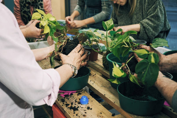 Istockphoto 2111998051 612x612