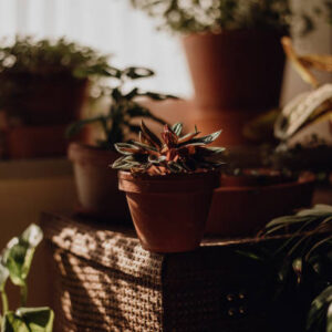 Photo taken in krakow, poland