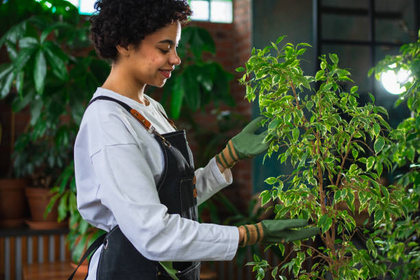 Istockphoto 2195554303 612x612