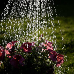 Istockphoto 645702476 612x612